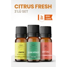 Aroviva Citrus Fresh 3'lü Set – Buhurdanlık Yağı, Difüzör Esansı ve Esansiyel Uçucu Yağ (10ML x 3)