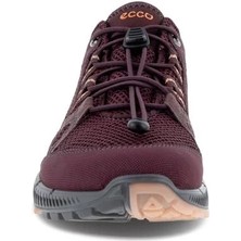 Ecco Terracruıse Iı W Fıg/fıg