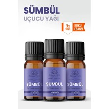 Aroviva Sümbül Oda Kokusu 3'lü Set – Buhurdanlık Yağı, Difüzör Esansı ve Esansiyel Uçucu Yağ