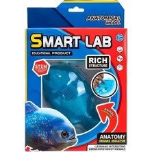 MEGA Köpek Balığı Laboratuvar Seti - 802B