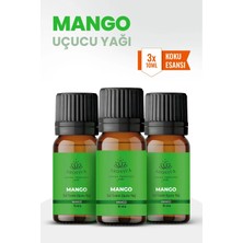 Aroviva Mango Oda Kokusu 3'lü Set – Buhurdanlık Yağı, Difüzör Esansı ve Esansiyel Uçucu Yağ