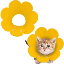 Glowify Store Evcil Hayvan S Boy Keçe Elizabeth Yakalığı