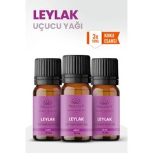Aroviva Leylak Oda Kokusu 3'lü Set – Buhurdanlık Yağı, Difüzör Esansı ve Esansiyel Uçucu Yağ