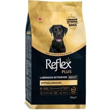İsmiyle Al Reflex Plus Hypoallergenic Labrador Retriever Tavuklu Yetişkin Köpek Maması 8 kg