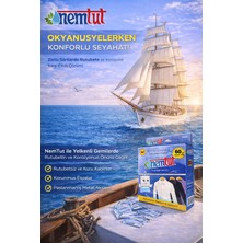 Nemtut Dehumıdıfıer Moısture Absorber Odor Remover Mold And Corrosıon Preventıve 1 Box 2 Packages 1 kg
