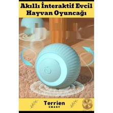 Terrien Smart Seri Akıllı Interaktif Şarjlı Titreşimli Işıklı Hareketli Özel Üretim Evcil Hayvan Oyuncağı