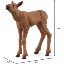 Velora Sığın Ailesi Oyuncak