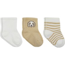 İSMİYLEAL Ismiyl Bistyle Dog Boy 3'lü Penye Soket Çorap 10134 Ekru 255669