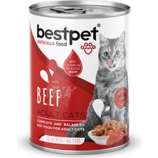 Storozde Bestpet 400 gr x 12 Adet  Yetişkin Kediler Için, Taze Sığır Parça Etli ve Soslu Yaş Mama