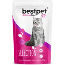 Storozde Bestpet 1 kg x 10 Adet Yetişkin Seçici Kediler Için Tavuk Etli Kuru Mama