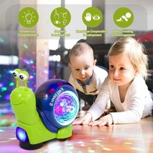 Belle Fusion Mey Ithalat® RS-9024C Elek.çok Yönlü Renkli Parly.salyangoz-Zrv