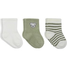 Nacario Mey Ithalat® Koala Boy 3'lü Penye Soket Çorap 10133 Ekru