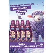 The Allurex Özel Konsantre Yumuşatıcı 1440 ml Lavanta Bahçesi Doğal Kokusu 4 Lü