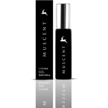 Muscent M183 Titanium