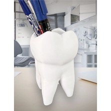 Diş Şeklinde Dekoratif Mini Saksı ve Kalemlik | 3D Baskı Pla Masaüstü Organizer