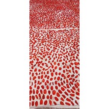 Doğal Güneşte Kurutulmuş Domates Kurusu 1 Kğ