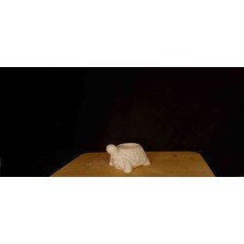 DS Tasarım Kaplumbağa Boyama Kiti - Aktivite Seti