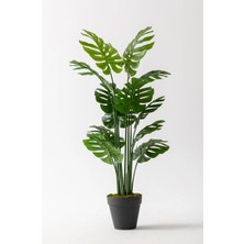 Güleç Yapay Çiçek Yapay Deve Tabanı(Monstera) Ağacı