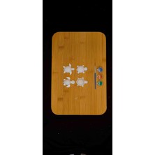 DS Tasarım Mini Kaplumbağa Boyama Kiti - Aktivite Seti - 4'lü Mini Kaplumbağa