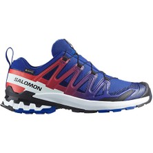 Salomon Xa Pro 3D V9 Gore-Tex Erkek Outdoor AYAKKABISIL47982600 Lacivert