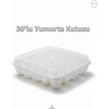 Calvera 30 Bölmeli Kilitli Kapaklı Yumurta Saklama Kabı - Buzdolabı Içi Düzenleyici Yumurtalık