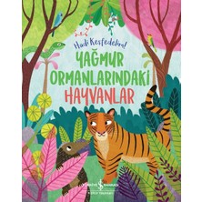 Aesco Yağmur Ormanlarındaki Hayvanlar – Hadi Keşfedelim!