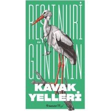 Aesco Kavak Yelleri (Yeni Kapak)