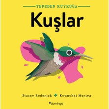 Aesco Tepeden Kuyruğa Kuşlar