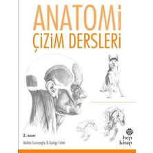 Aesco Anatomi Çizim Dersleri
