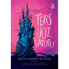 Aesco Ters Yüz Şatosu