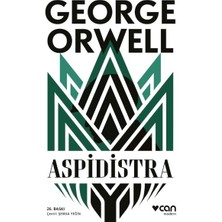 Aesco Aspidistra
