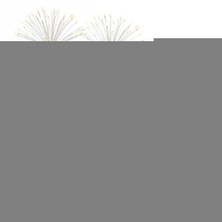 İsmiyle Al 2 Adet Saçak Model Solar Bahçe Lambası – Güneş Enerjili LED Dış Mekan Aydınlatma, Otomatik