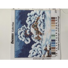 Orchidea Goblen 18X24