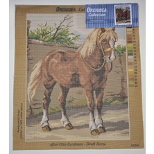 Orchidea Goblen 3420M 40X50