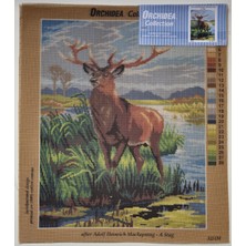 Orchidea Goblen 3251M 40X50