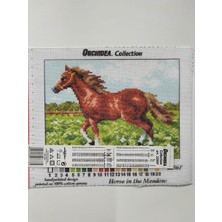 Orchidea Goblen 18X24