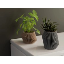 3D Baskı Modern Çizgili Dekoratif Saksı – Minimalist Masaüstü Çiçeklik (100X107X67 Mm)