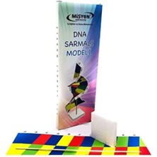 Misyon Dna Sarmalı Modeli