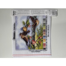 Orchidea Goblen 18X24