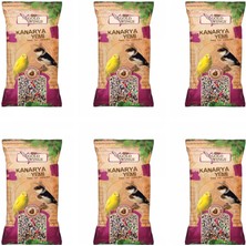 Gold Wings Evcil Hayvan Meyveli Kanarya Yemi 300 gr 6 Adet Fırsat Ürünü