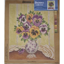 Orchidea Goblen 1962M 40X50