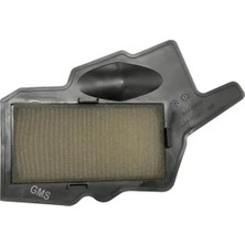 GMS Tvs Hava Fıltresı Raıder 125