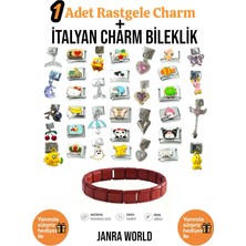 Janra World 1 Adet Rastgele Charm + Italyan Charm Bileklik Seti | Sürpriz Hediye Ile Birlikte