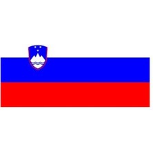 Alsancak Slovenya Bayrağı 30X45