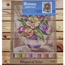 Orchidea Goblen 2572H 24X30