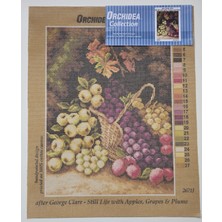 Orchidea Goblen 2671J 30X40