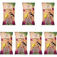 Gold Wings Evcil Hayvan Meyveli Kanarya Yemi 300 gr 7 Adet Fırsat Ürünü