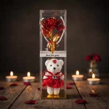 Belle Fusion Şeffaf Kutulu Ayıcıklı Sonsuzluk Gülü