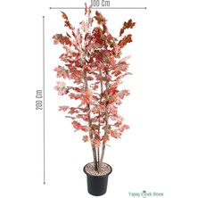 Yapay Çiçek Sitesi 3 Gövdeli Yapay Akçaağaç Ağacı 200 cm