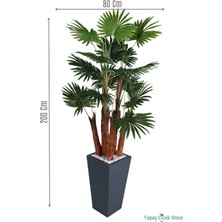 Yapay Çiçek Sitesi Ahşap Saksıda Yapay Yelpaze Palmiye Ağacı 200 cm